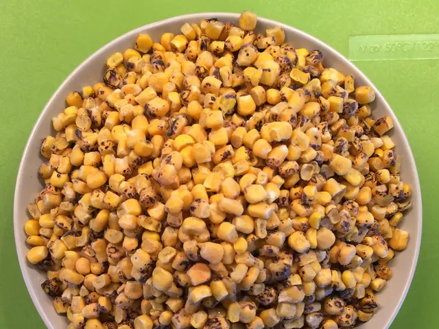 Texas Agricultural Zones - USDA Map Showcasing Texas's Growing Regions